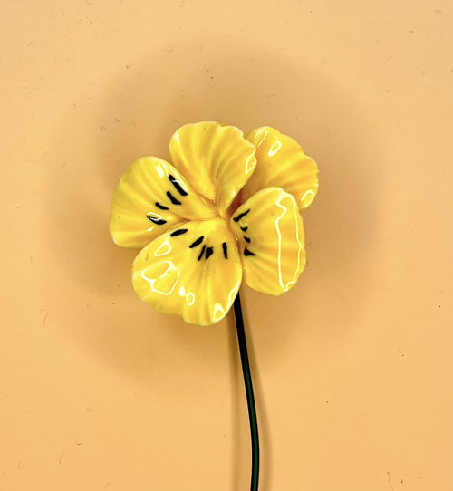 Zápich žlutá Maceška, průměr květu 3,5 cm