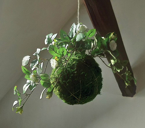 Kokedama s umělou květinou - bílá popínavá růže