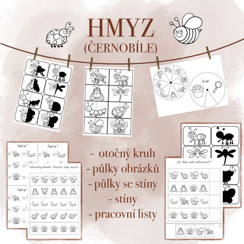 Hmyz (pracovní listy)