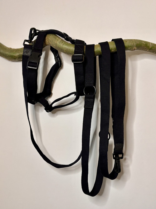 Set postroj M/L + vodítko bez ručky