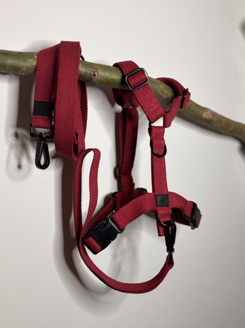 Set postroj M/L + vodítko s ručkou