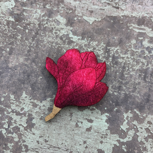 Magnolie poupě velke — foto 1