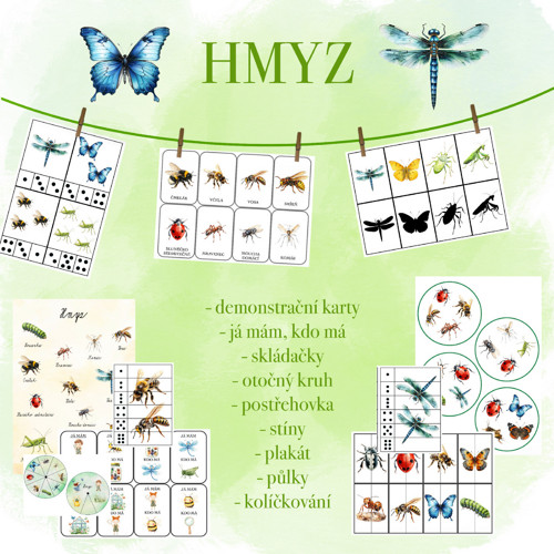 Hmyz