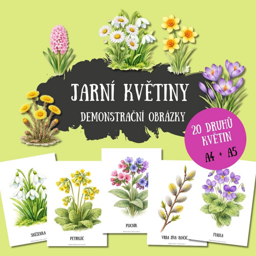 Jarní květiny - demonstrační obrázky (PDF k tisku)