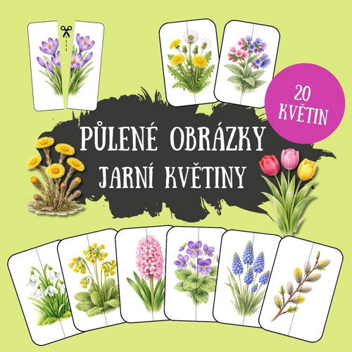 Jarní květiny - půlené obrázky (PDF k tisku)