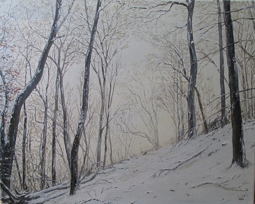 Zimní les na Liščíně-středohoří-50x40