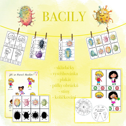 Bacily