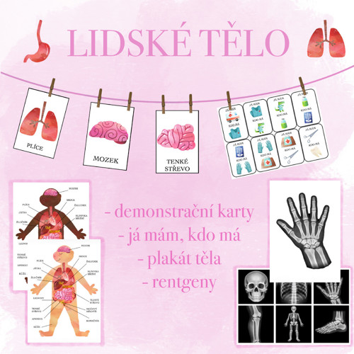 Lidské tělo