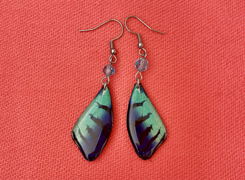Náušnice motýli křídla
