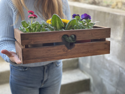 Bedýnka 40 x 20 x 12 cm - Hnědá