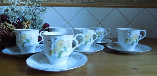 Pěkný kávový (čajový) set, 12 kusů