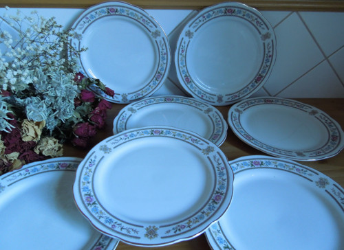 Sada porcelánových mělkých talířů