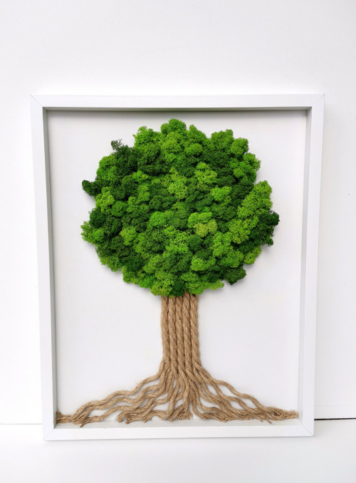 Mechový obraz, strom 40x50cm