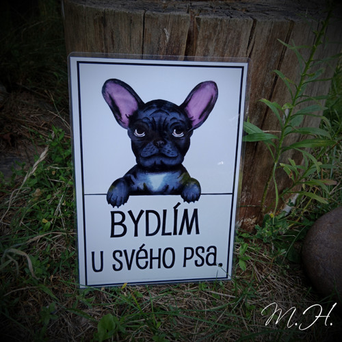 Bydlím u svého psa - buldoček černý