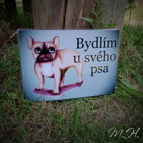Bydlím u svého psa - buldoček hnědý