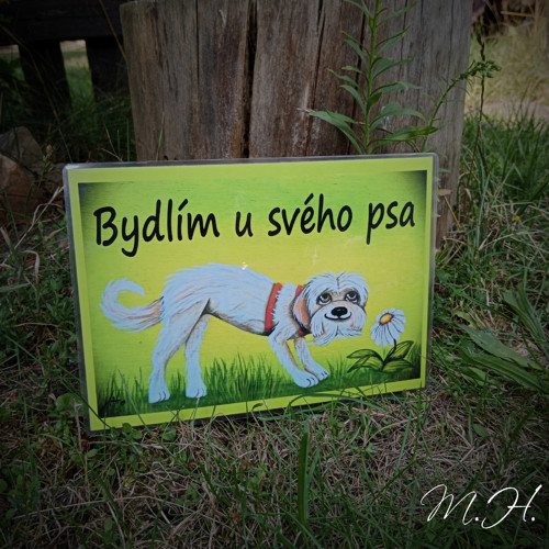 Bydlím u svého psa - bílý pes