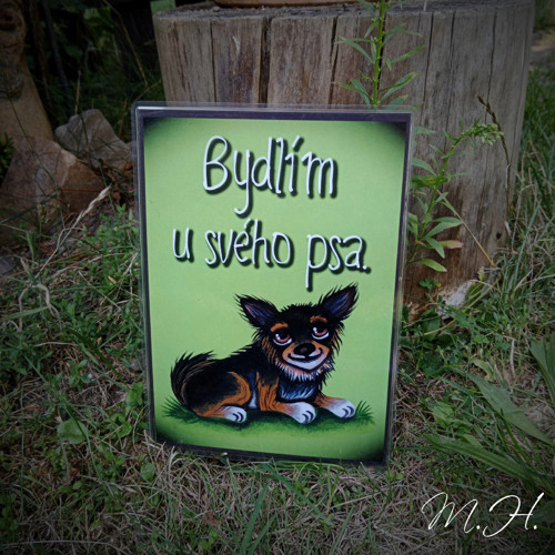Bydlím u svého psa - čivava I.