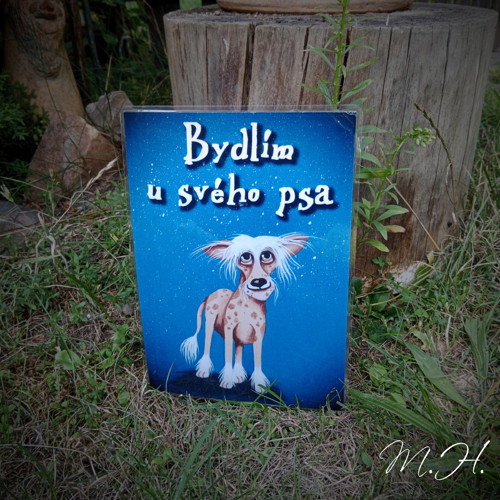 Bydlím u svého psa - naháč — foto 1