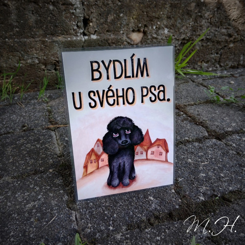 Bydlím u svého psa - pudl černý