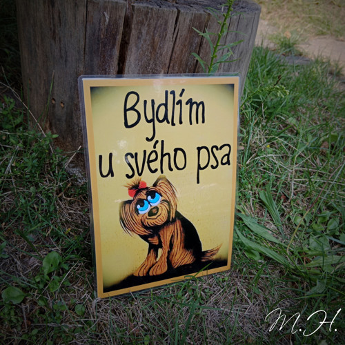 Bydlím u svého psa - jorkšír