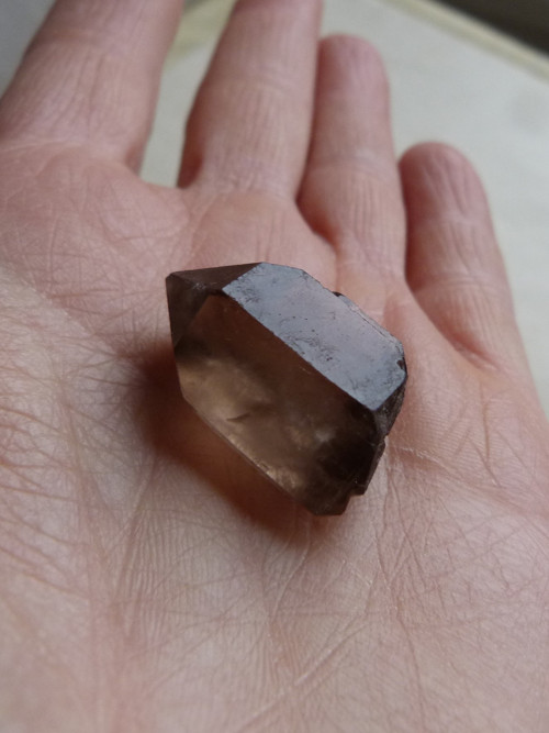 Záhněda - krystal - 2,7 cm (Z6) — foto 1