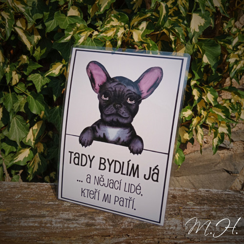 Tady bydlím já a nějací lidé... - černý buldoček