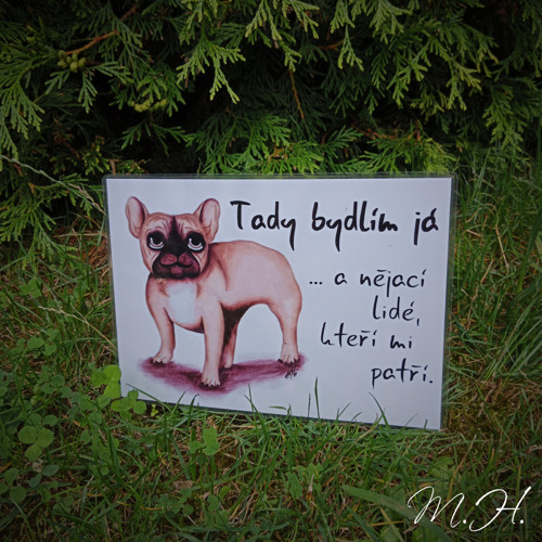 Tady bydlím já a nějací lidé... - hnědý buldoček