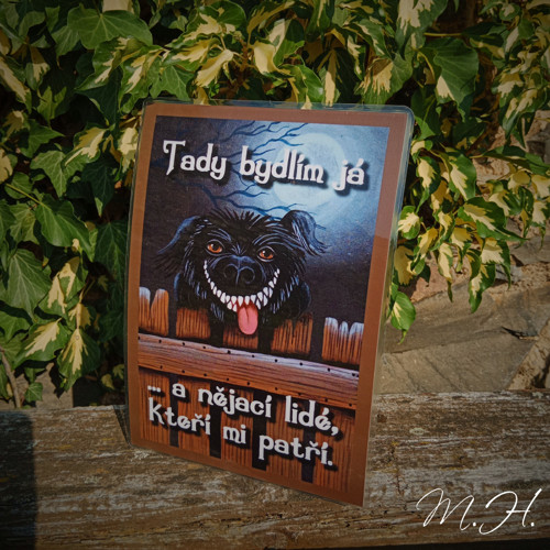 Tady bydlím já a nějací lidé... - černý pes