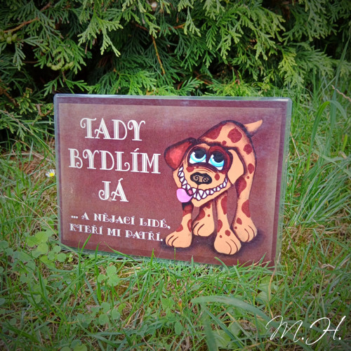 Tady bydlím já a nějací lidé... - hnědý pes