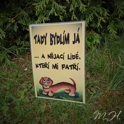 Tady bydlím já a nějací lidé... hnědý jezevčík I.