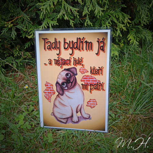 Tady bydlím já a nějací lidé... - mopsík