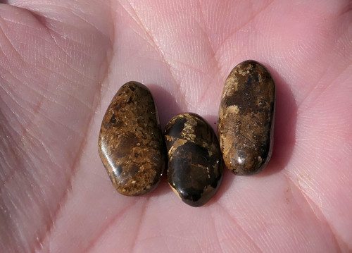 3x bronzit V3239 — foto 1