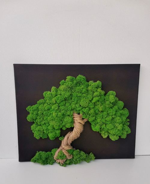 Živý mechový obraz, strom 40x50cm