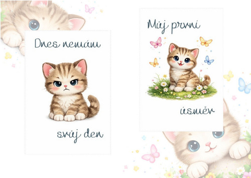 Kočičí milníkové kartičky miminko PDF