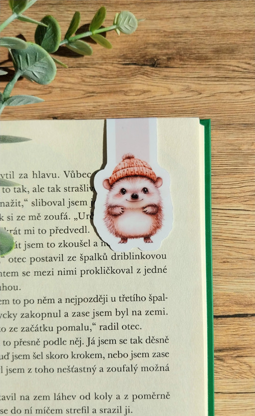 Papírová magnetická záložka - Ježek v čepici