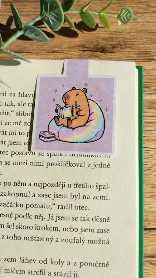 Papírová magnetická záložka - Duhová kapybara