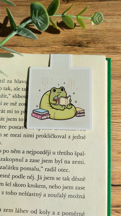 Papírová magnetická záložka - Žába