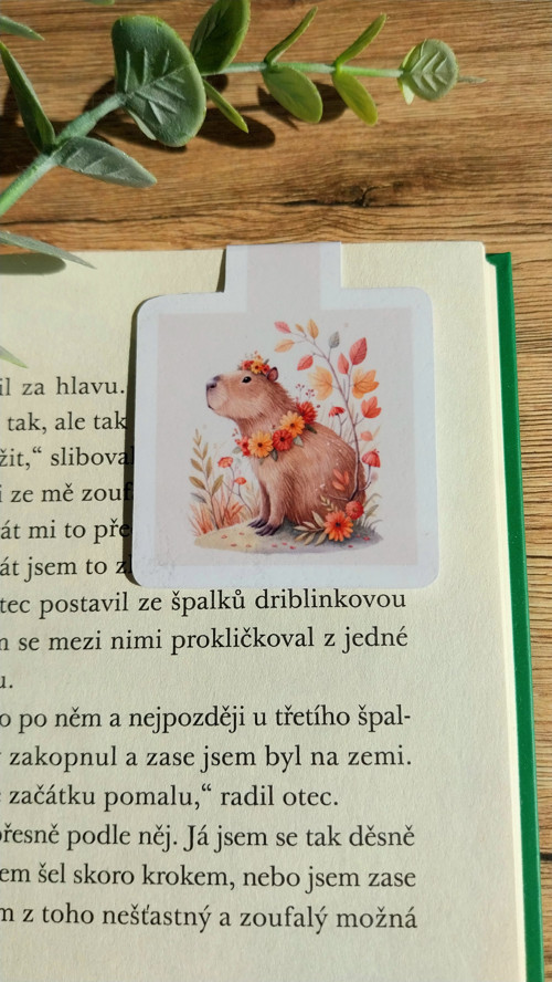 Papírová magnetická záložka - Kouzelný ježek