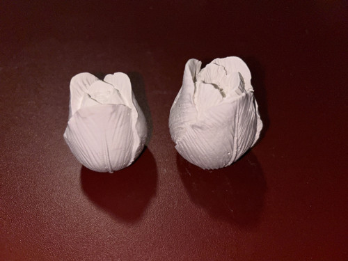 Sádrový odlitek - sada tulipánů (2ks)