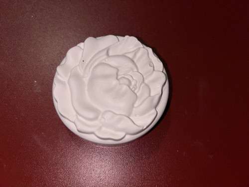Sádrový odlitek - květinový ornament ll.