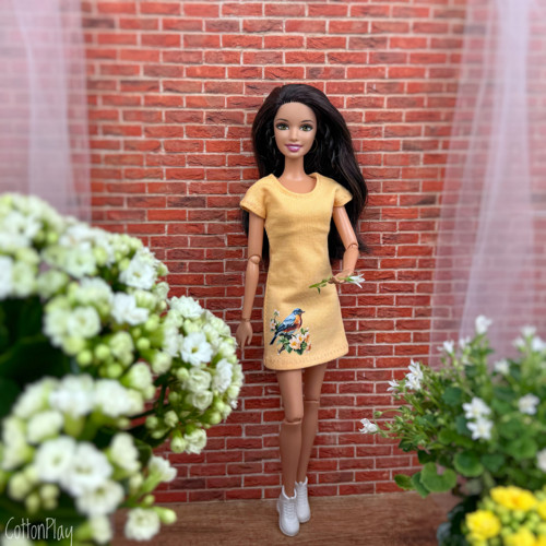 Ptáček 1 - Meruňkové šaty pro Barbie