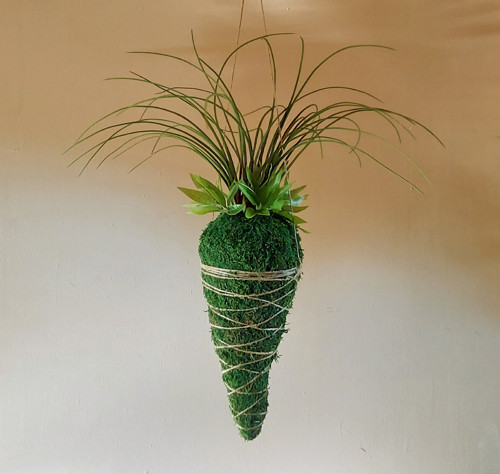 Velká kokedama - bez údržby. Výška 60cm.