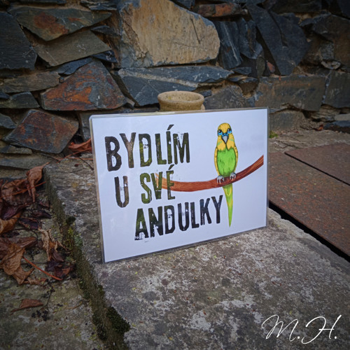 Bydlím u své andulky - žlutá