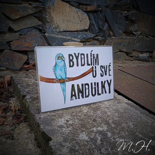 Bydlím u své andulky - modrá