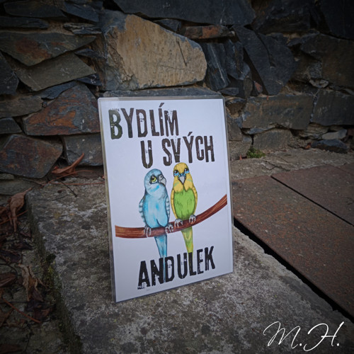 Bydlím u svých andulek