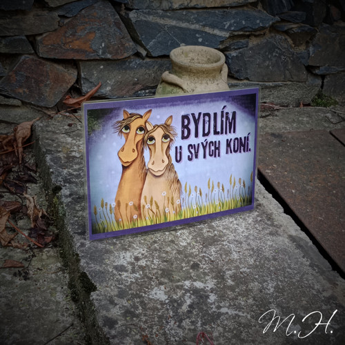 Bydlím u svých koní — foto 1