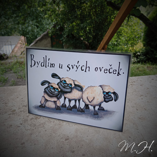 Bydlím u svých oveček