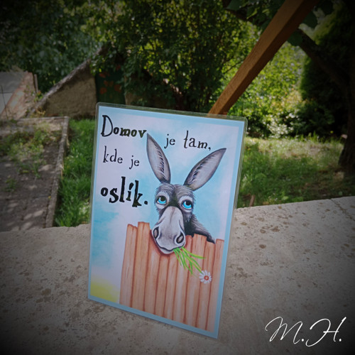 Domov je tam, kde je oslík
