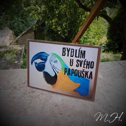Bydlím u svého papouška
