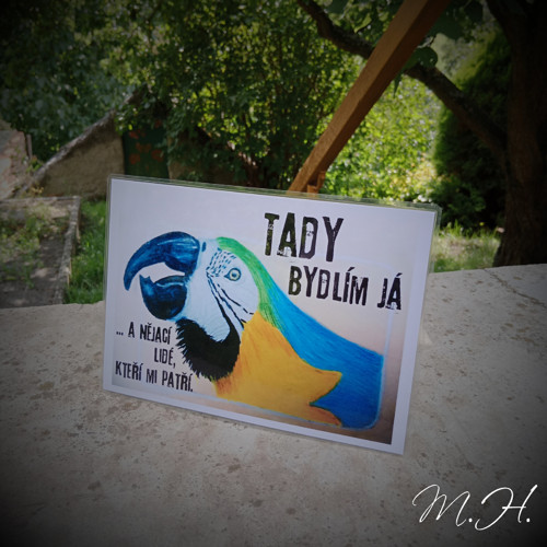 Tady bydlím já... a nějací lidé (papoušek)